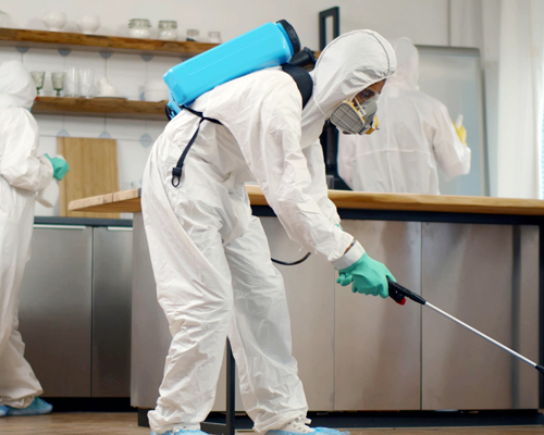 Pest Control Services